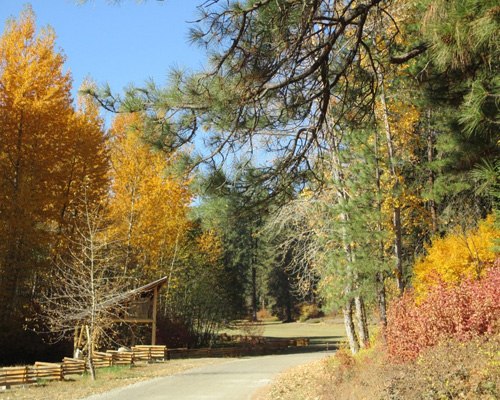 Road to Tierra in the fall