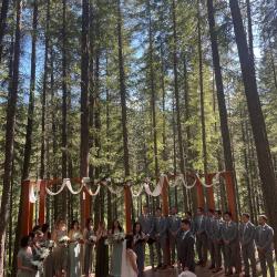 big bridal party on stage