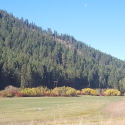 Full moon and fall colors on the fields