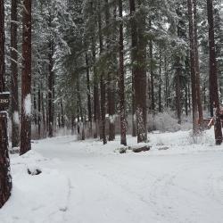 Sign to guest parking, suites, and lodge on right