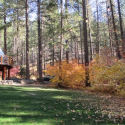 Lodge lawn in fall