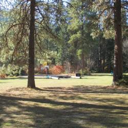 Basketball court and firepit