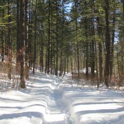 Trail in winter snow