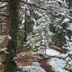 Tierra trails blue trail after first snow