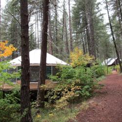 yurt in fall with trail