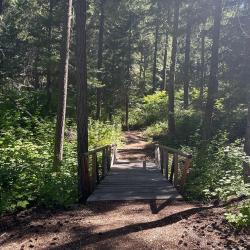 Bridge trail