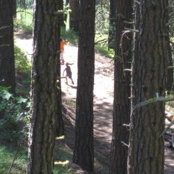 kids on a walk in forest