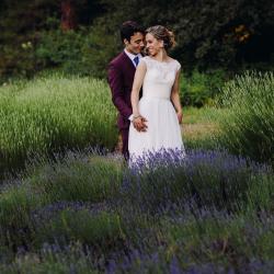 Lavender maze in August