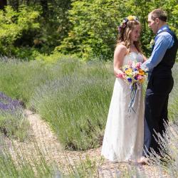 Photos in the lavender maze