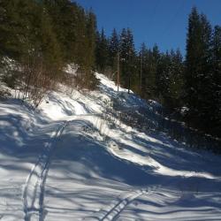 X-Country ski loop (not groomed) out the powerline