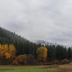 Alfalfa field with the first sprinkling of snow late October
