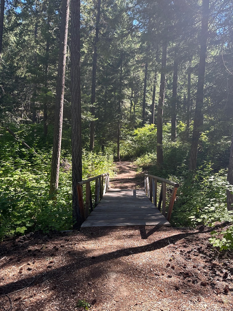 Bridge Trails