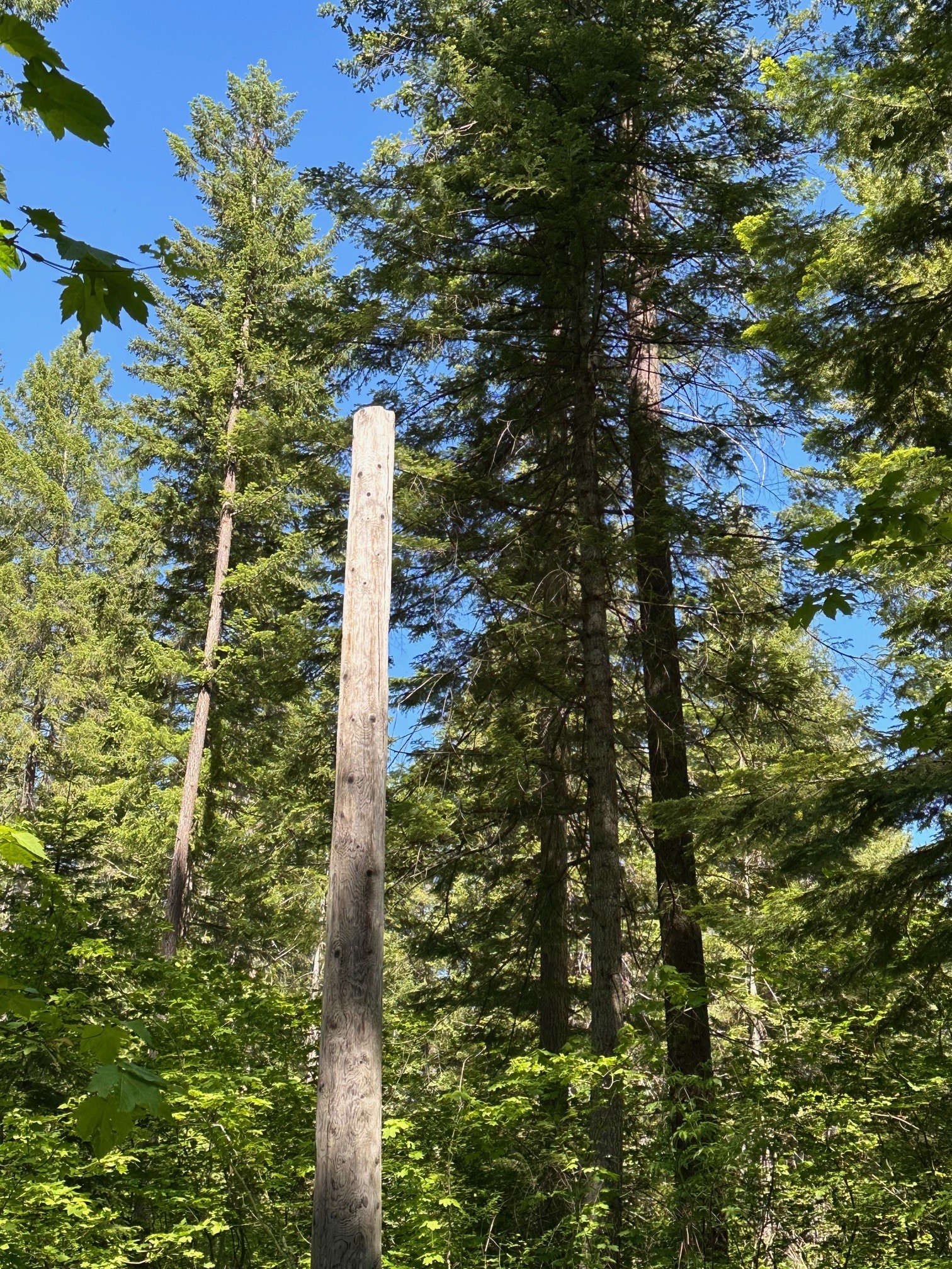 ropescourse